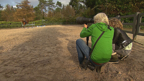 Het Klokhuis | Paardenfotograaf